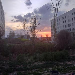 桃子冰妈妈电影免费观看下载
